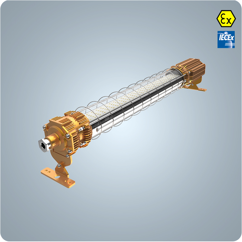 Asiatic Cheetah Seri