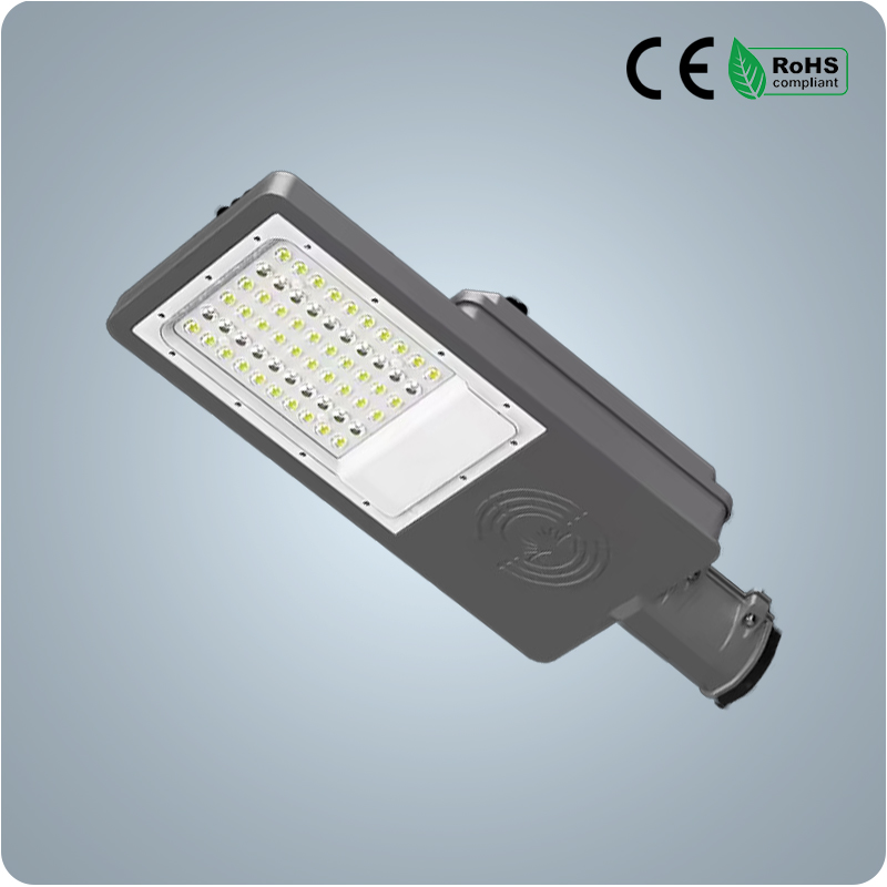 Black Leopard Series